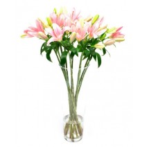 Pink Asiatic Lilies for Home or Office